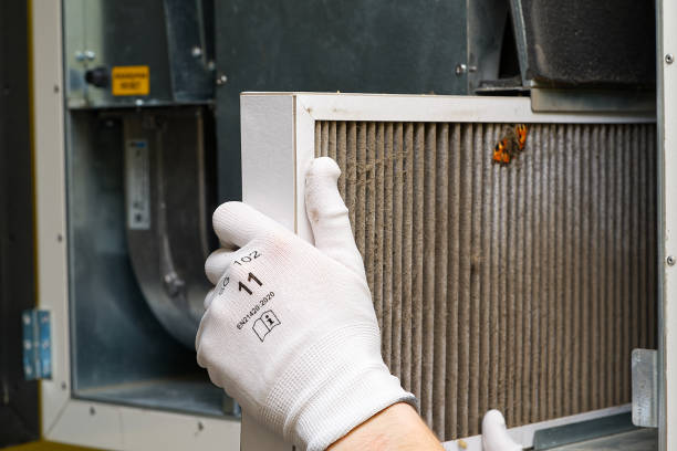 Best Affordable Air Duct Cleaning  in Gadsden, AL