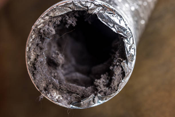 Best Air Duct Sanitizing Services  in Gadsden, AL